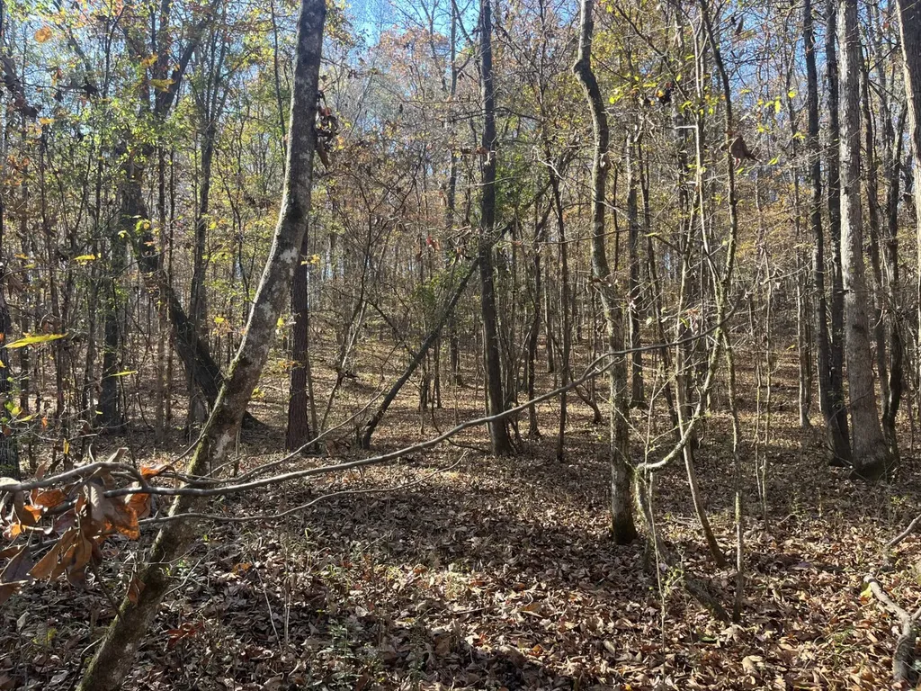 0 County Road 441 Wilsonville AL 35186