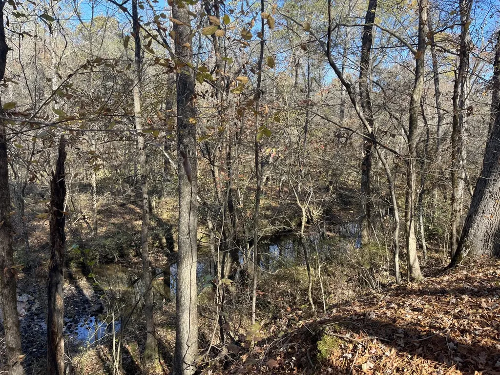 0 County Road 441 Wilsonville AL 35186