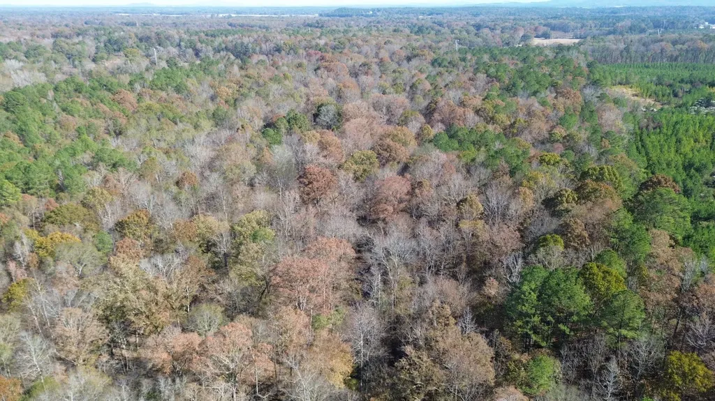 0 County Road 441 Wilsonville AL 35186
