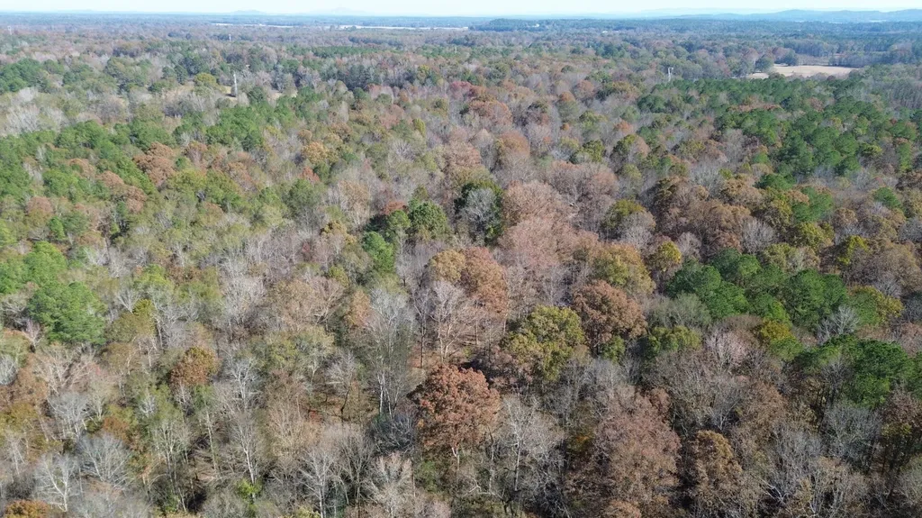 0 County Road 441 Wilsonville AL 35186
