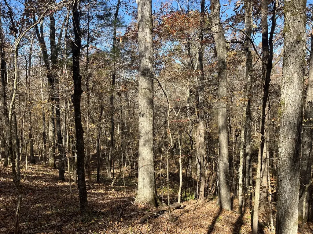 0 County Road 441 Wilsonville AL 35186