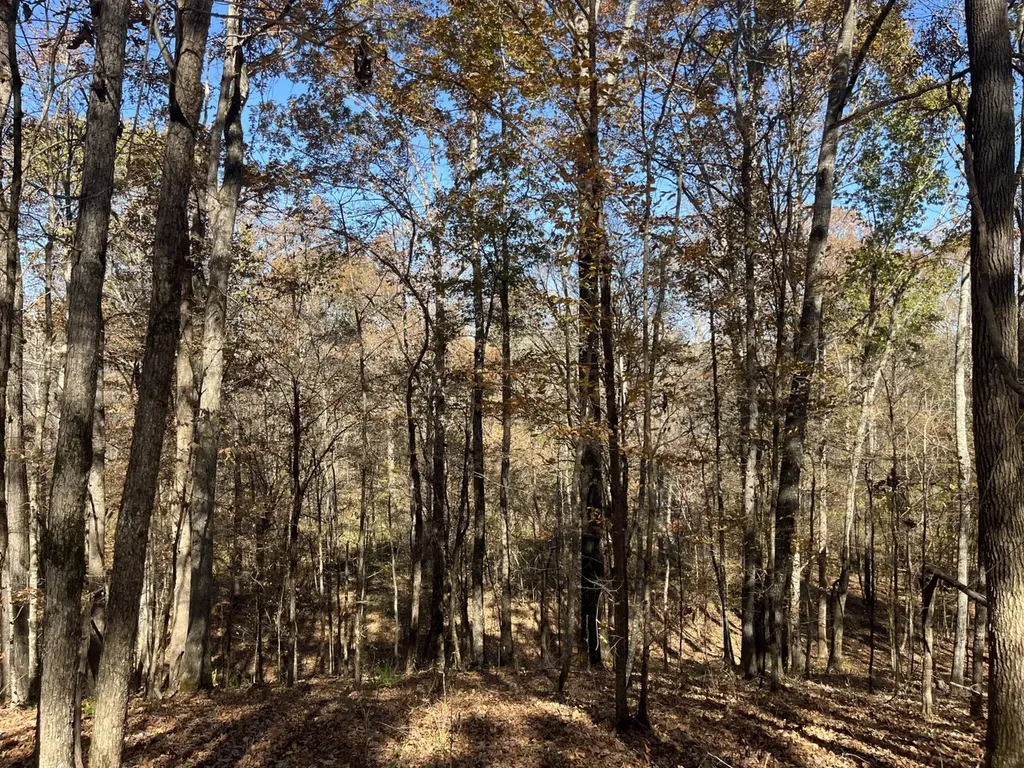 0 County Road 441 Wilsonville AL 35186
