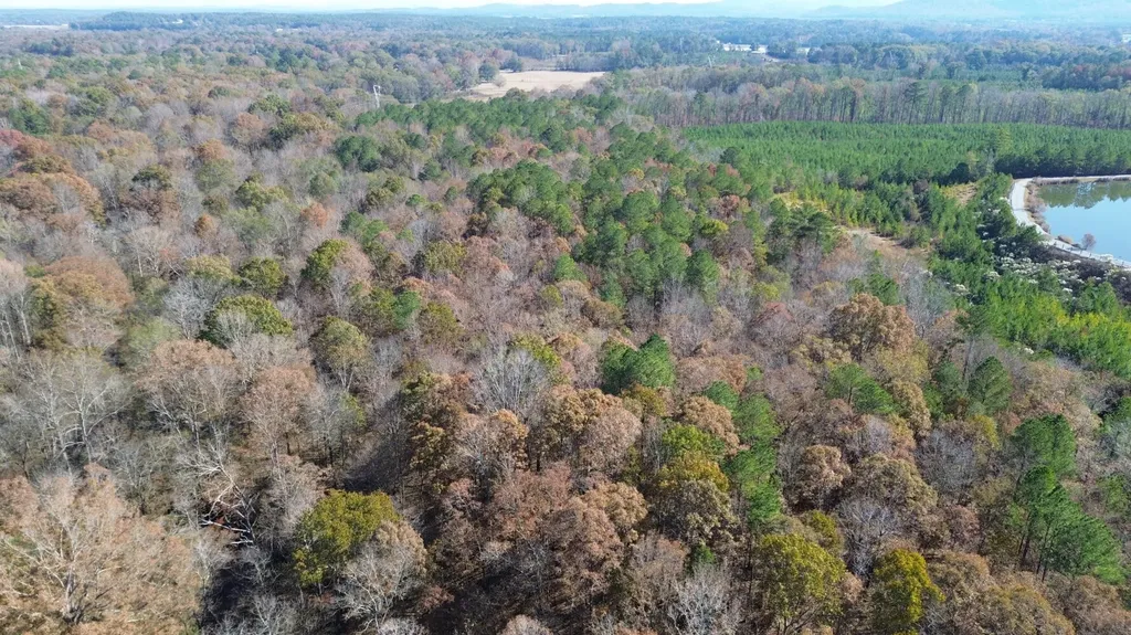 0 County Road 441 Wilsonville AL 35186