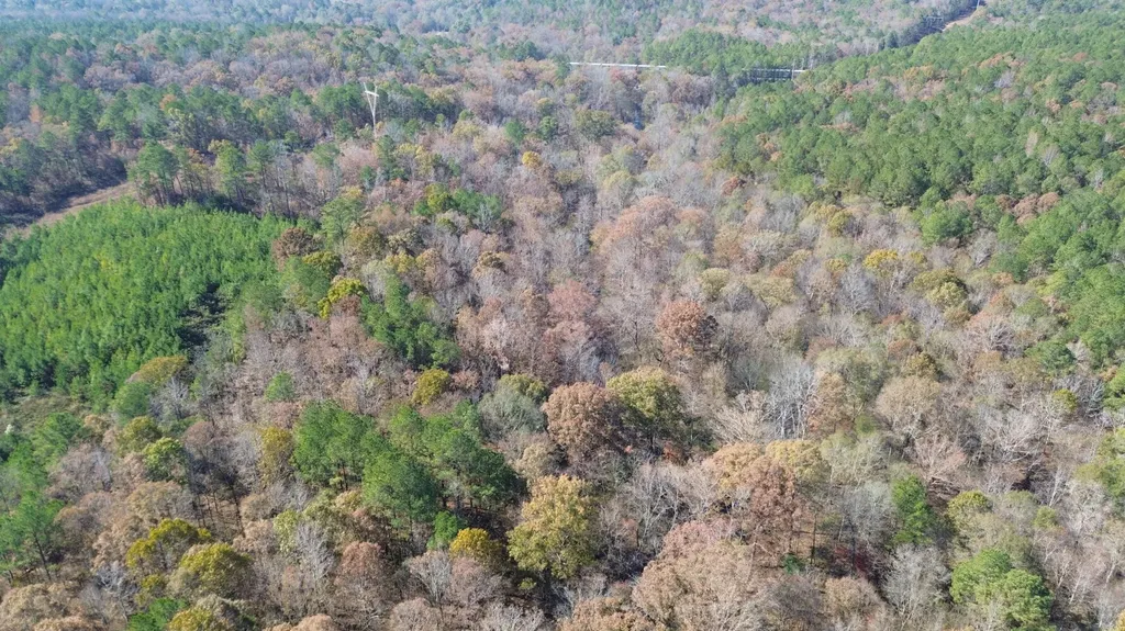 0 County Road 441 Wilsonville AL 35186
