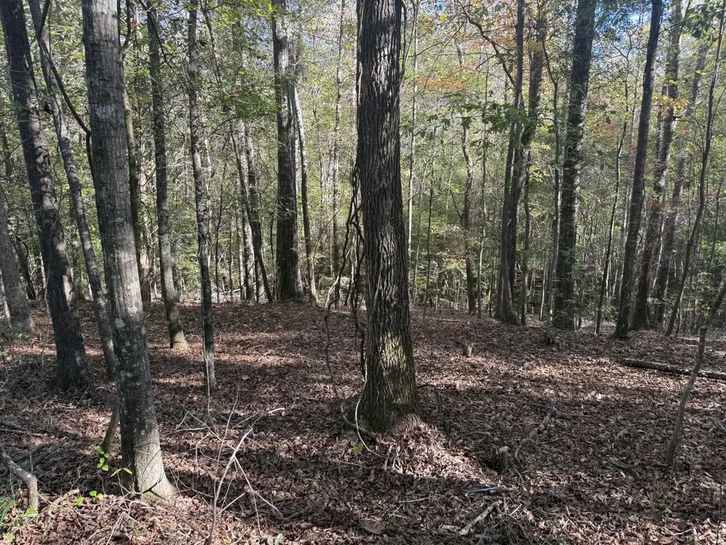 13561 Fondren Road Northport AL 35475