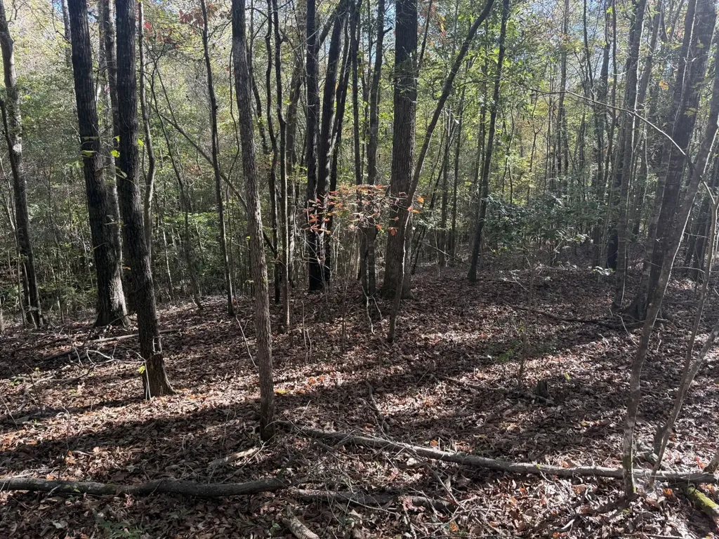 13561 Fondren Road Northport AL 35475