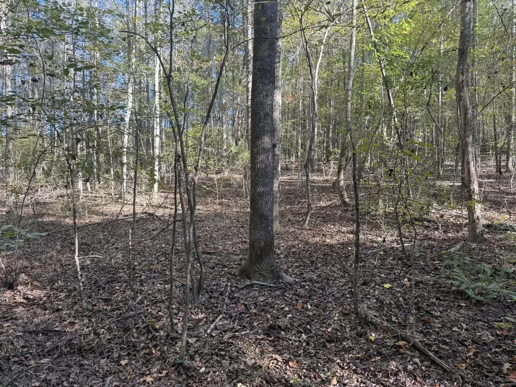 13561 Fondren Road Northport AL 35475