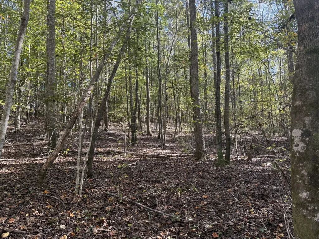 13561 Fondren Road Northport AL 35475