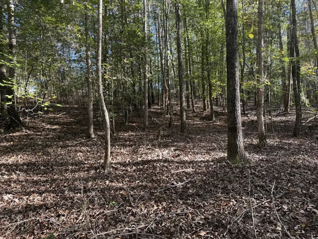 13561 Fondren Road Northport AL 35475