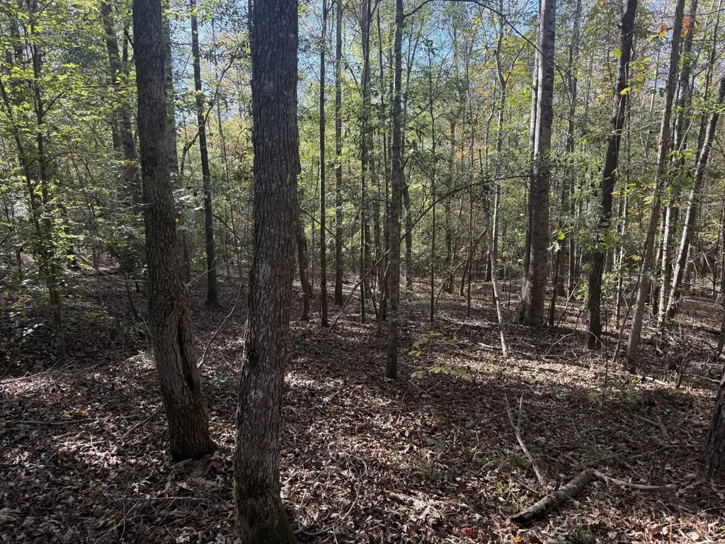 13561 Fondren Road Northport AL 35475