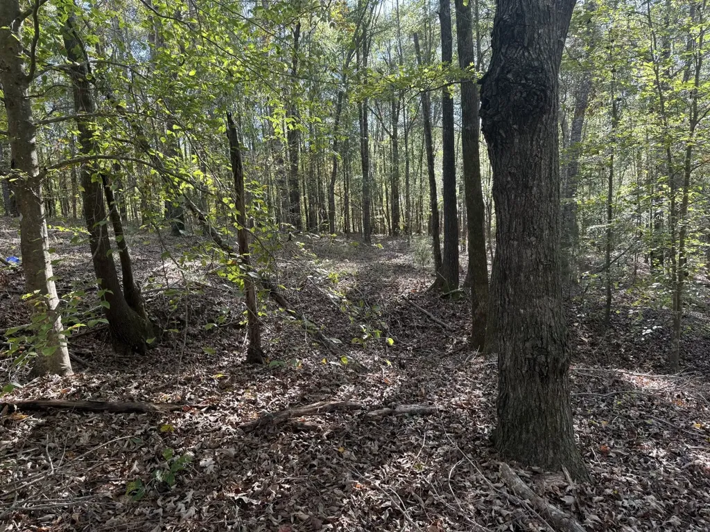 13561 Fondren Road Northport AL 35475