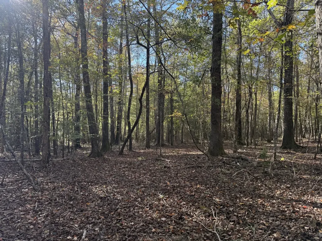 13561 Fondren Road Northport AL 35475