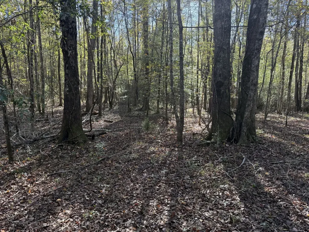 13561 Fondren Road Northport AL 35475