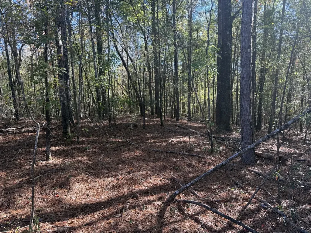 13561 Fondren Road Northport AL 35475