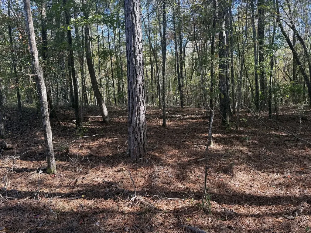 13561 Fondren Road Northport AL 35475
