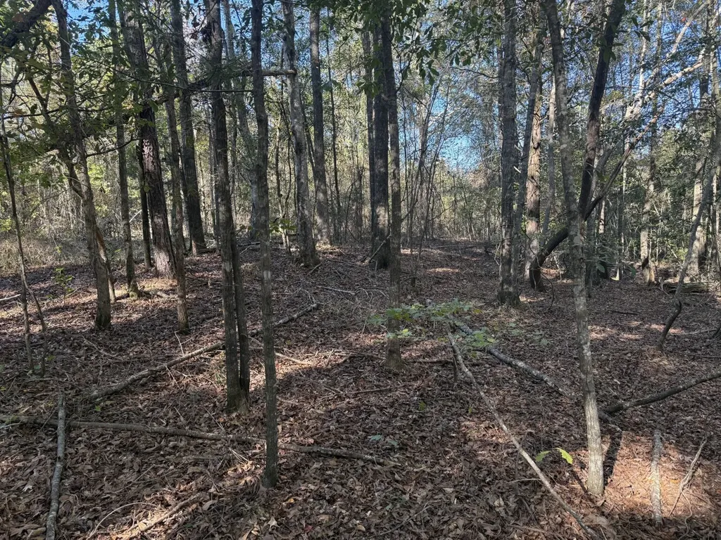 13561 Fondren Road Northport AL 35475