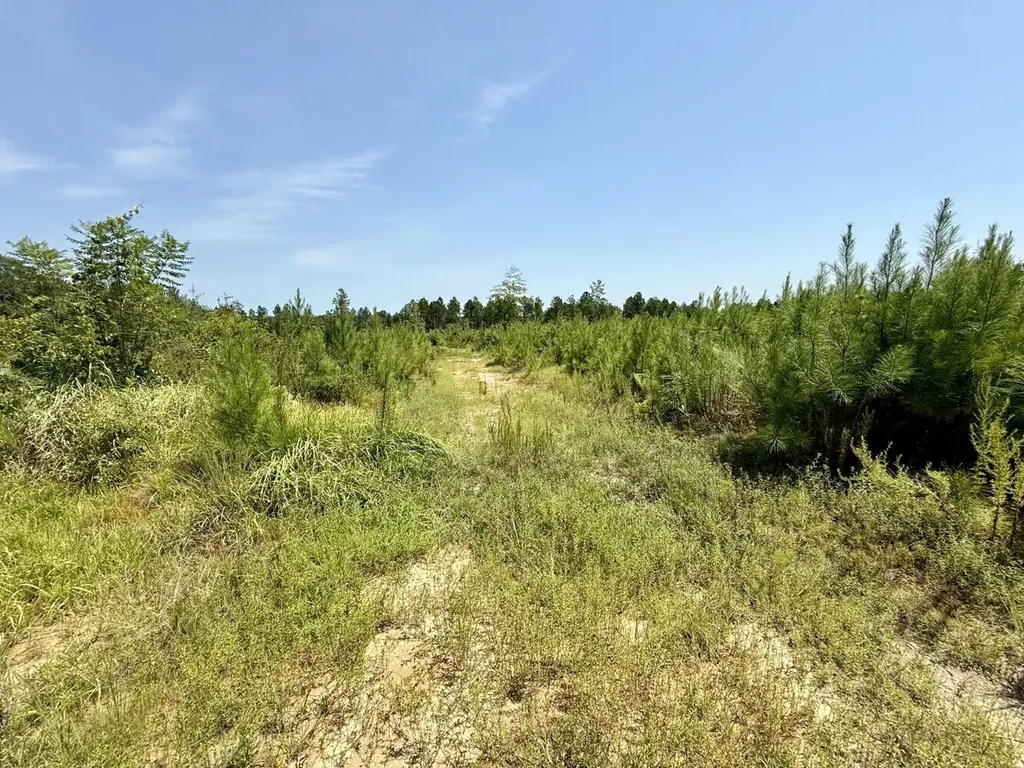 0 Louella Road Tract Mcintosh AL 36553