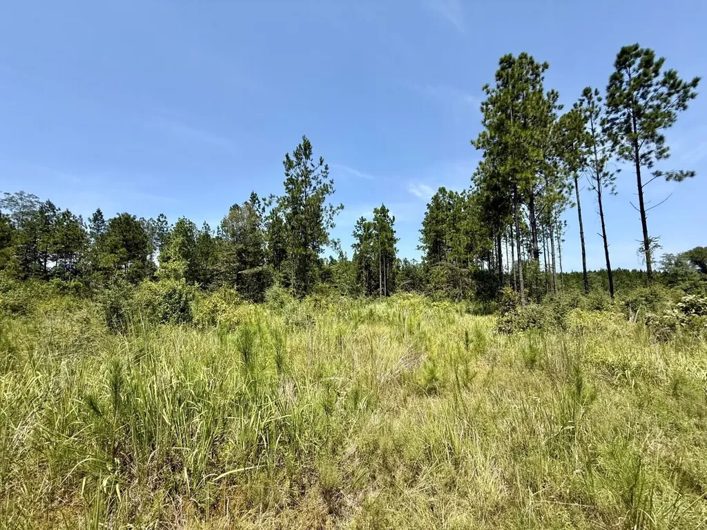 0 Louella Road Tract Mcintosh AL 36553