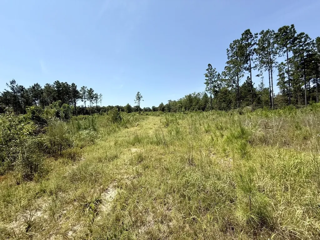 0 Louella Road Tract Mcintosh AL 36553