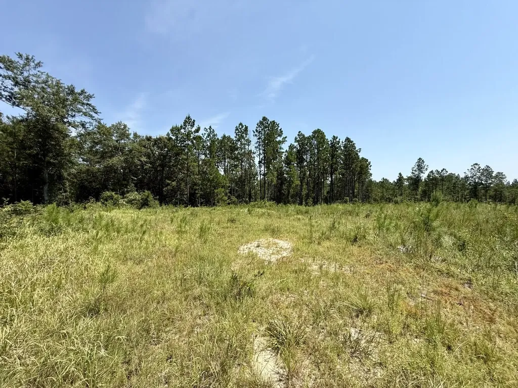 0 Louella Road Tract Mcintosh AL 36553