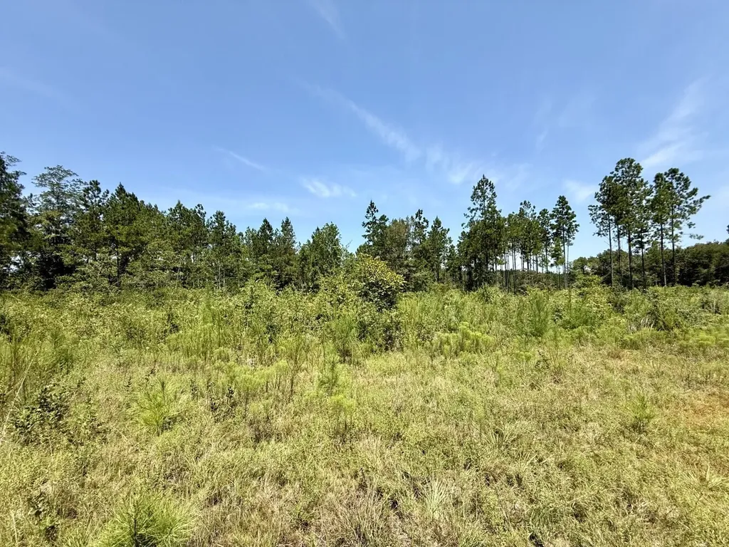 0 Louella Road Tract Mcintosh AL 36553