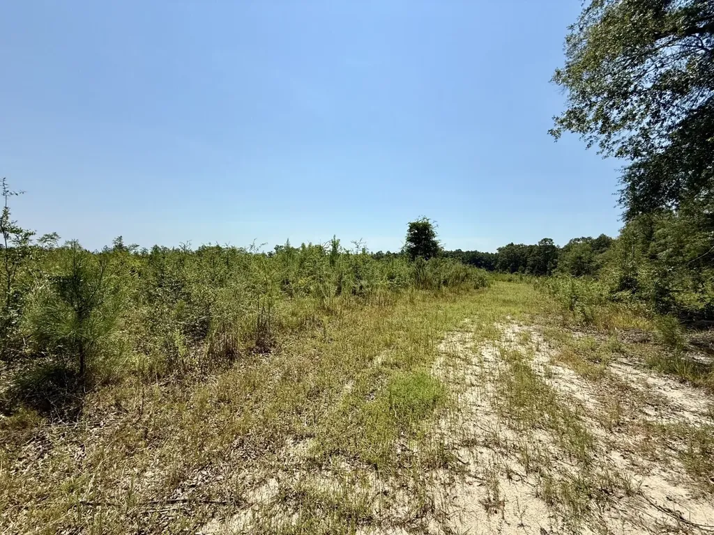 0 Louella Road Tract Mcintosh AL 36553