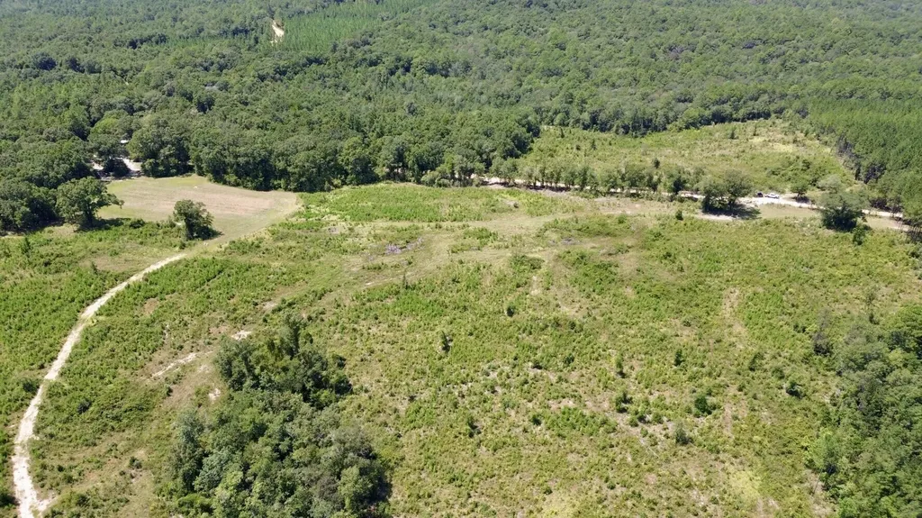 0 Louella Road Tract Mcintosh AL 36553