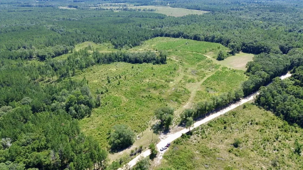 0 Louella Road Tract Mcintosh AL 36553