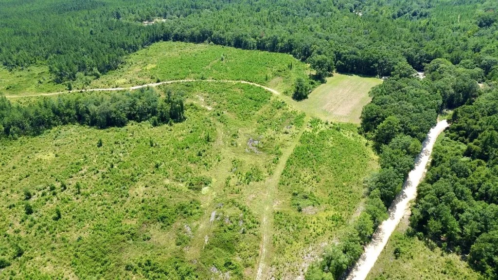 0 Louella Road Tract Mcintosh AL 36553