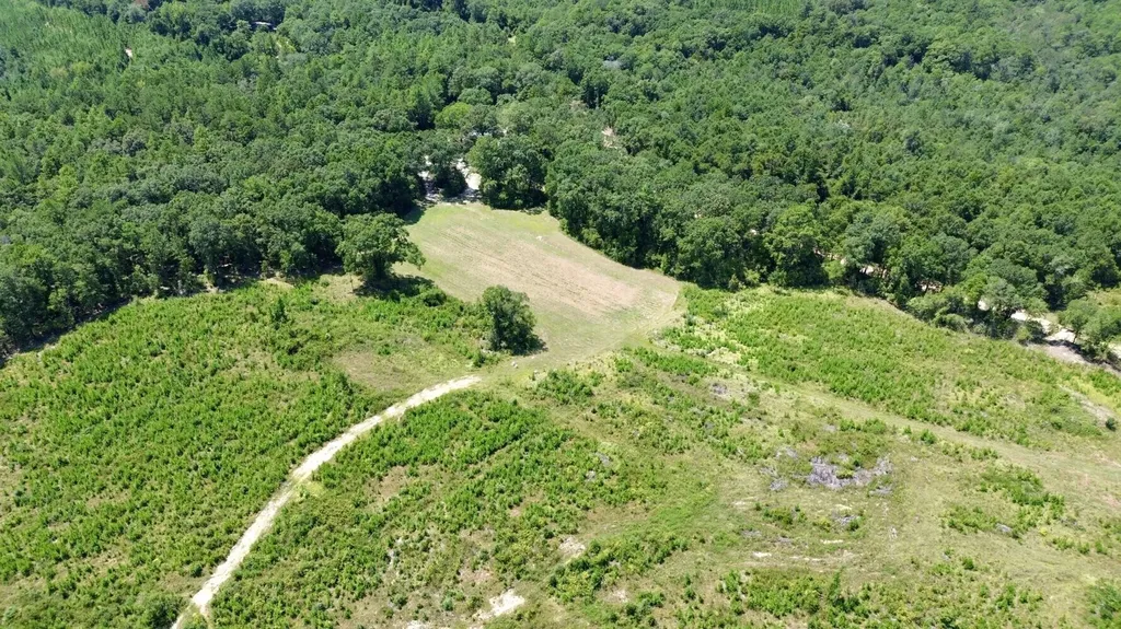 0 Louella Road Tract Mcintosh AL 36553