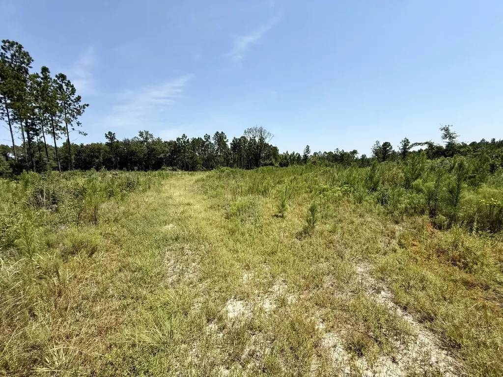 0 Louella Road Tract Mcintosh AL 36553