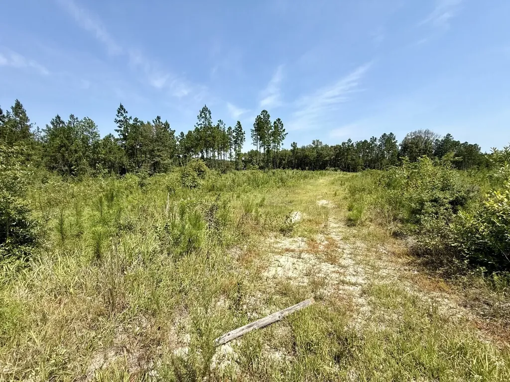 0 Louella Road Tract Mcintosh AL 36553