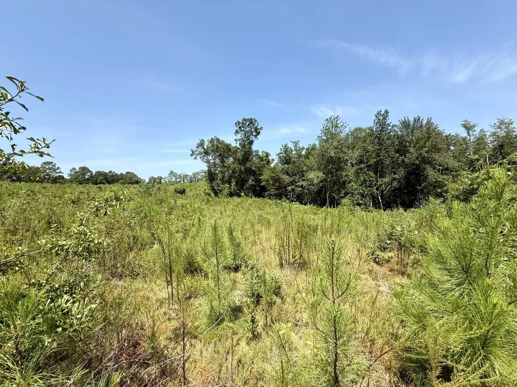 0 Louella Road Tract Mcintosh AL 36553