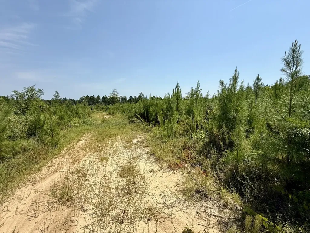 0 Louella Road Tract Mcintosh AL 36553