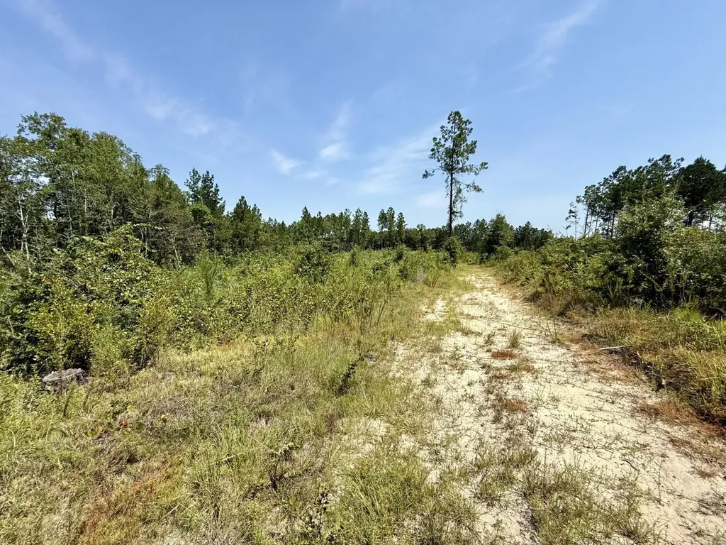 0 Louella Road Tract Mcintosh AL 36553