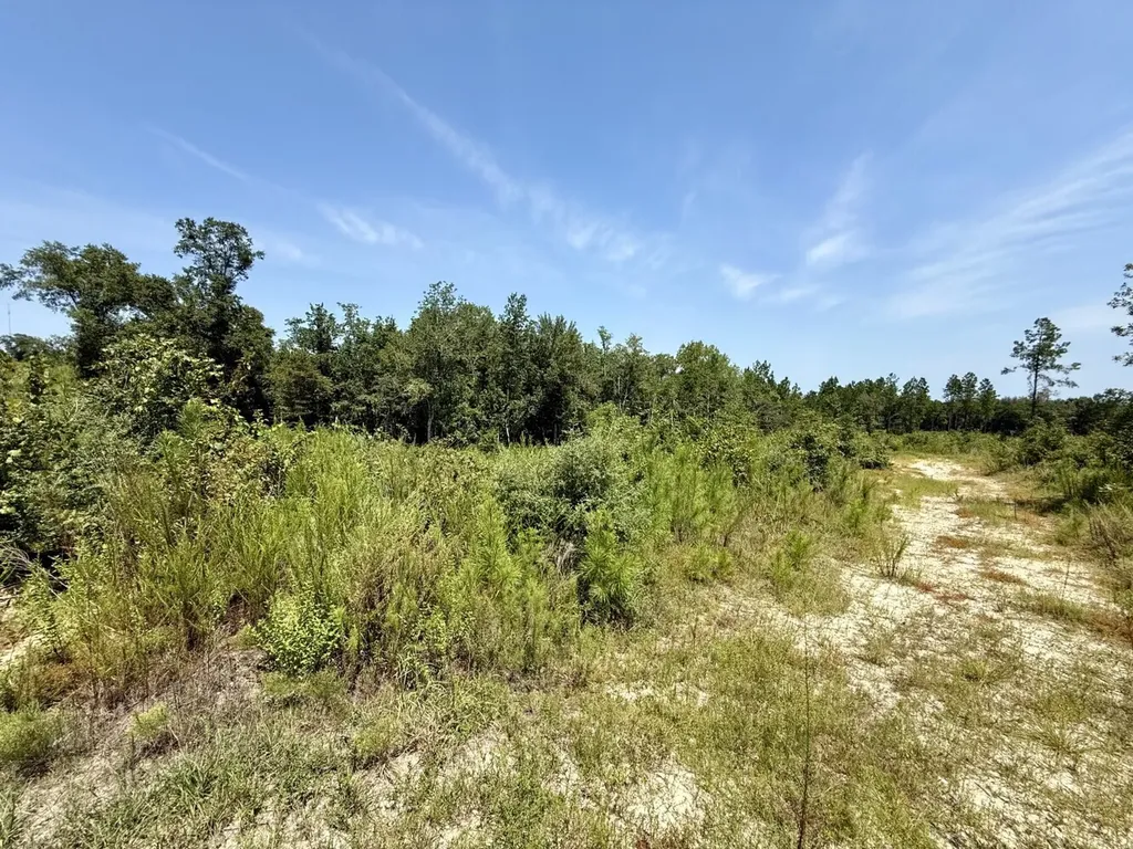 0 Louella Road Tract Mcintosh AL 36553