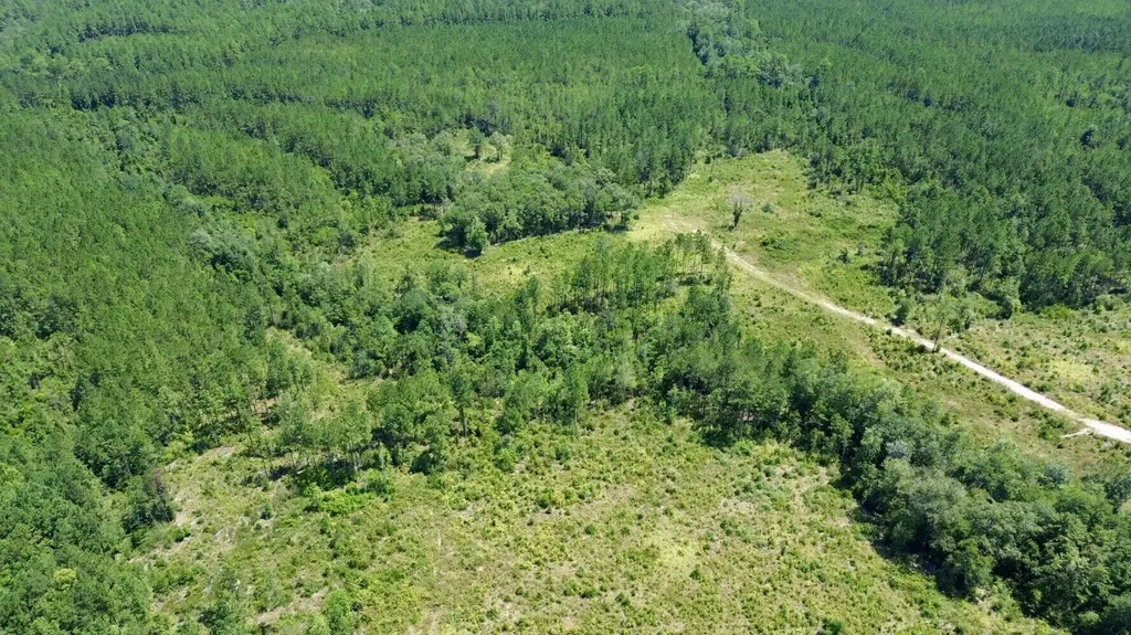 0 Louella Road Tract Mcintosh AL 36553