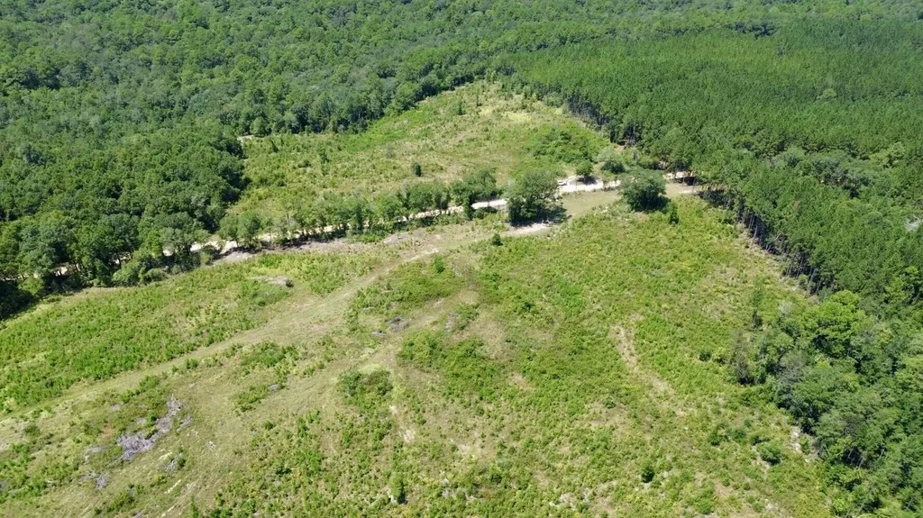 0 Louella Road Tract Mcintosh AL 36553