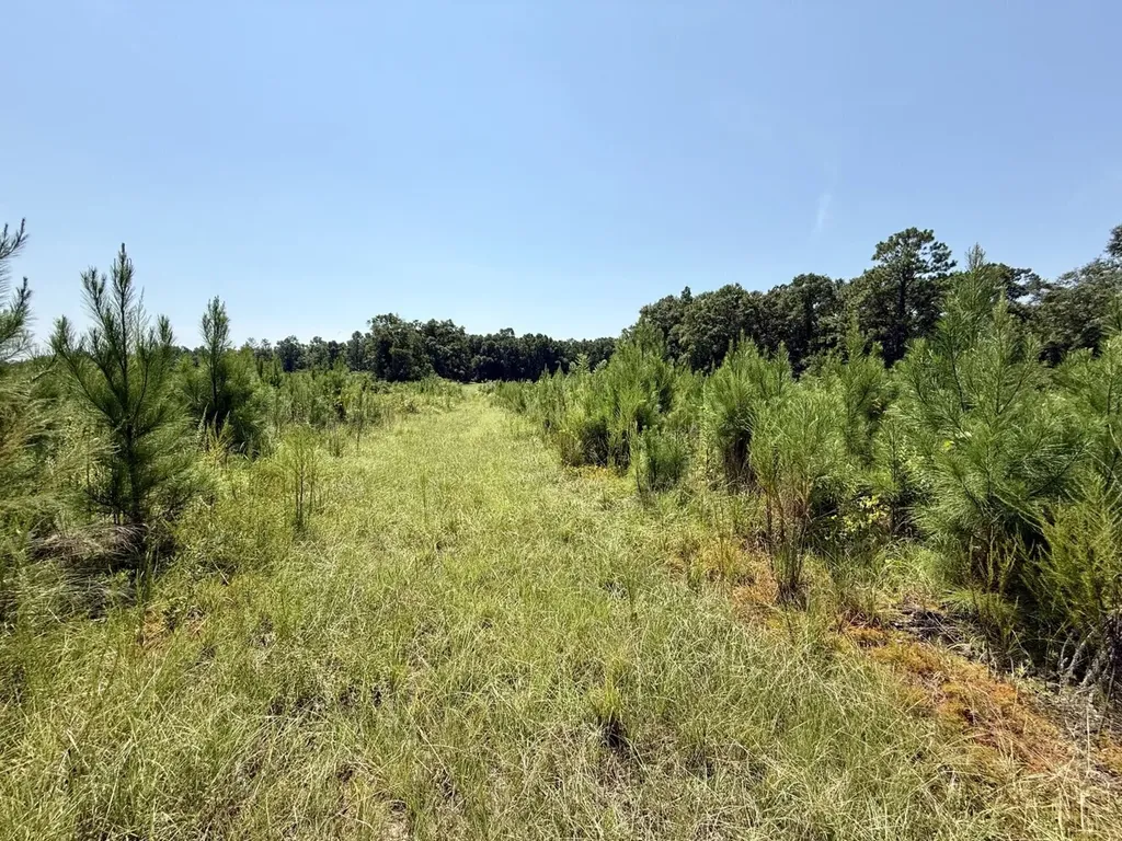 0 Louella Road Tract Mcintosh AL 36553