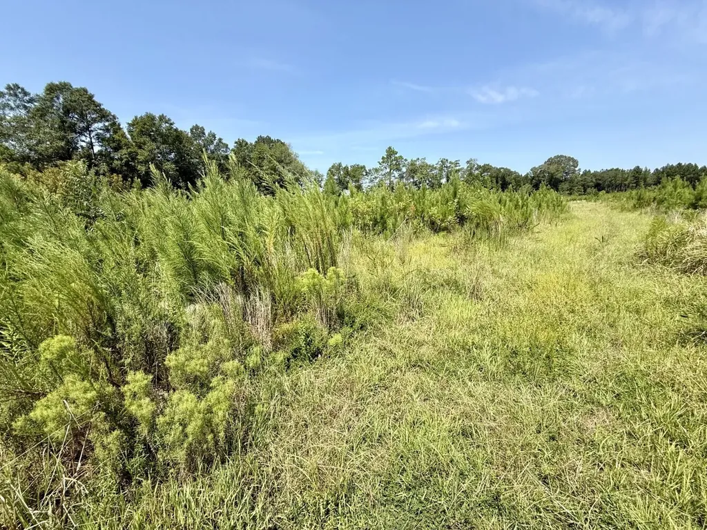 0 Louella Road Tract Mcintosh AL 36553