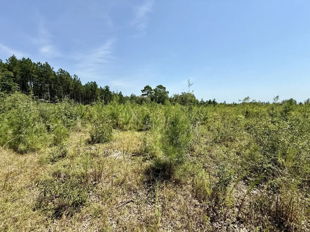 0 Louella Road Tract Mcintosh AL 36553