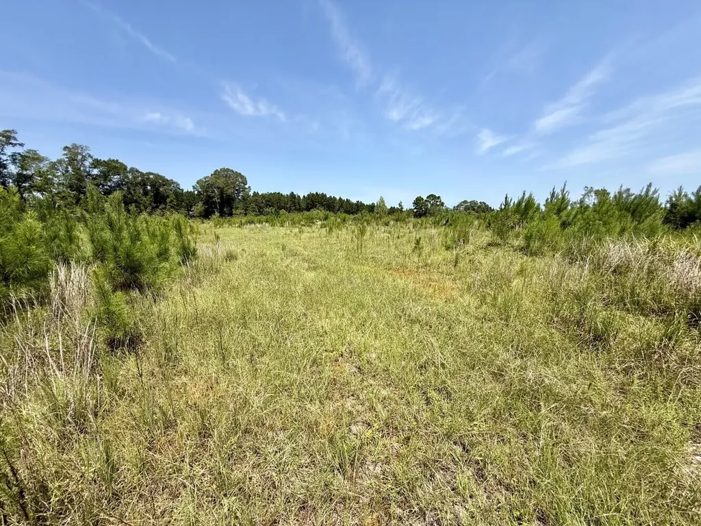 0 Louella Road Tract Mcintosh AL 36553