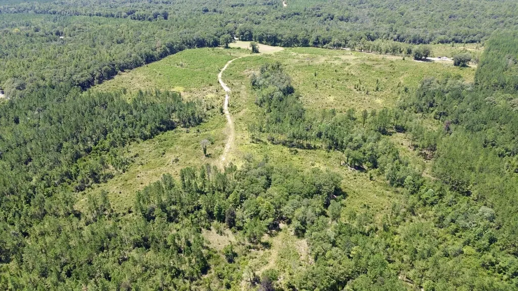 0 Louella Road Tract Mcintosh AL 36553