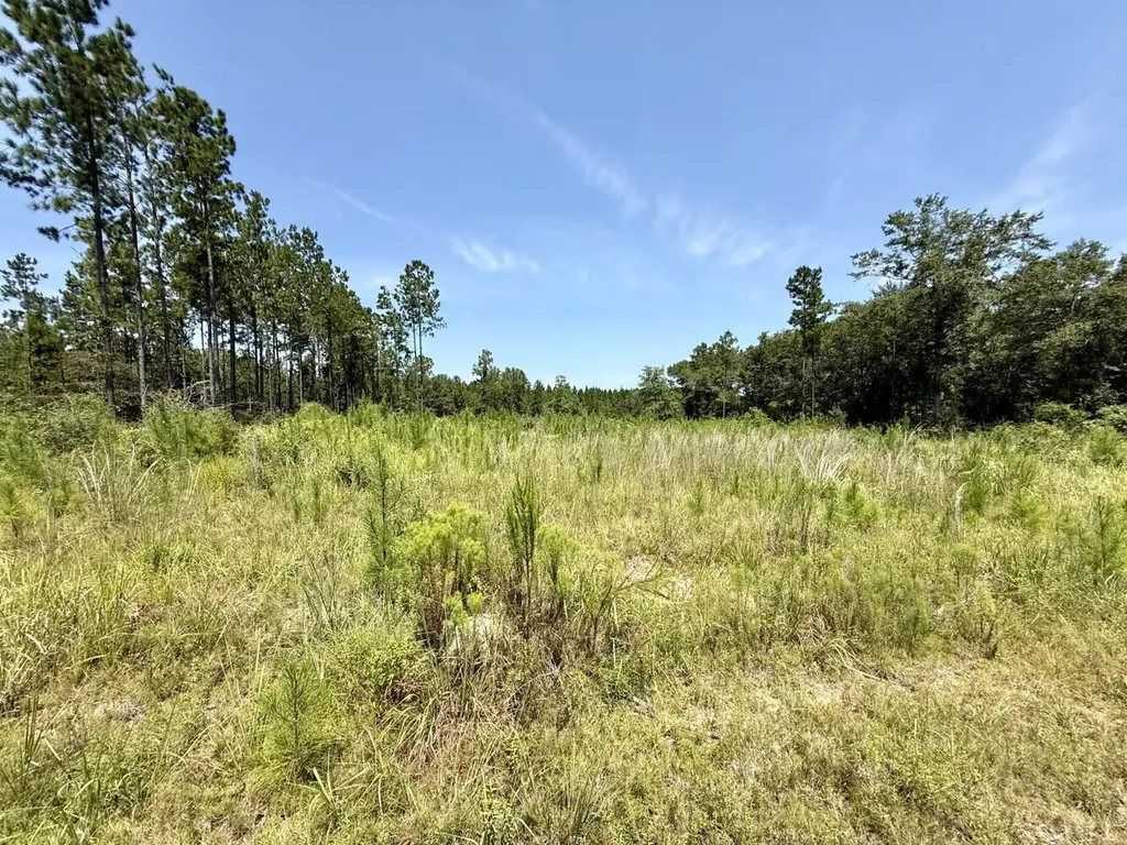 0 Louella Road Tract Mcintosh AL 36553