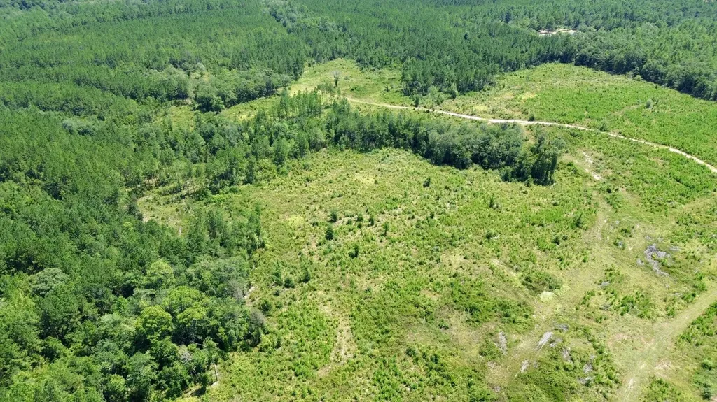 0 Louella Road Tract Mcintosh AL 36553