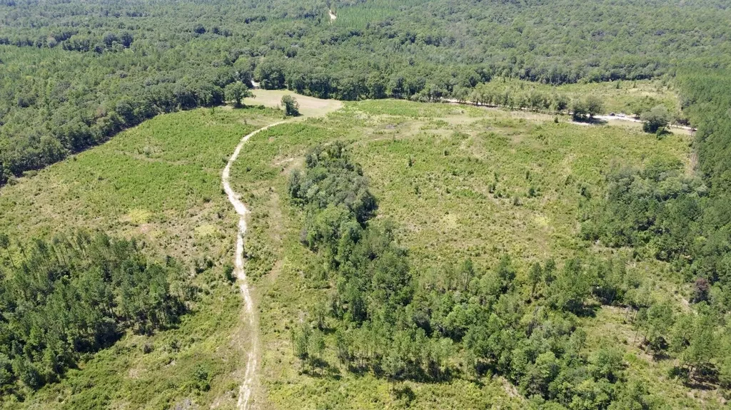 0 Louella Road Tract Mcintosh AL 36553