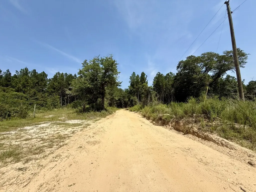 0 Louella Road Tract Mcintosh AL 36553