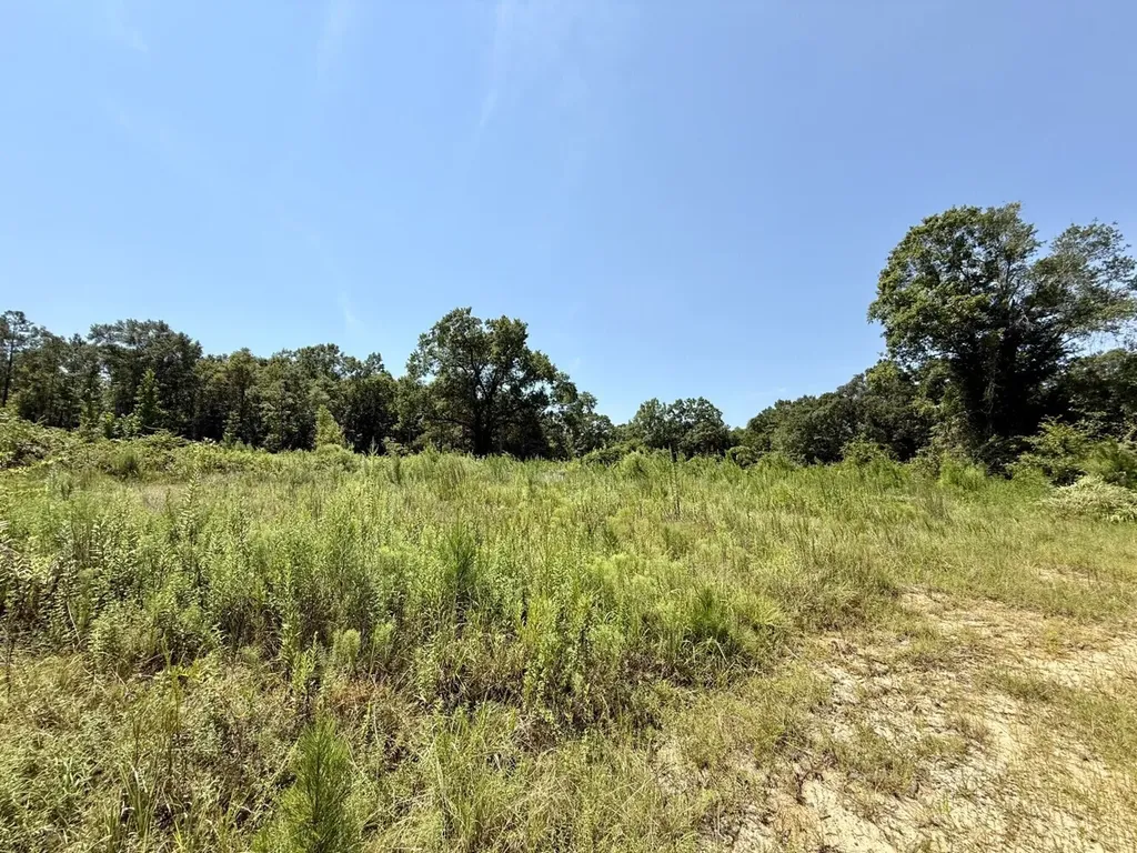 0 Louella Road Tract Mcintosh AL 36553