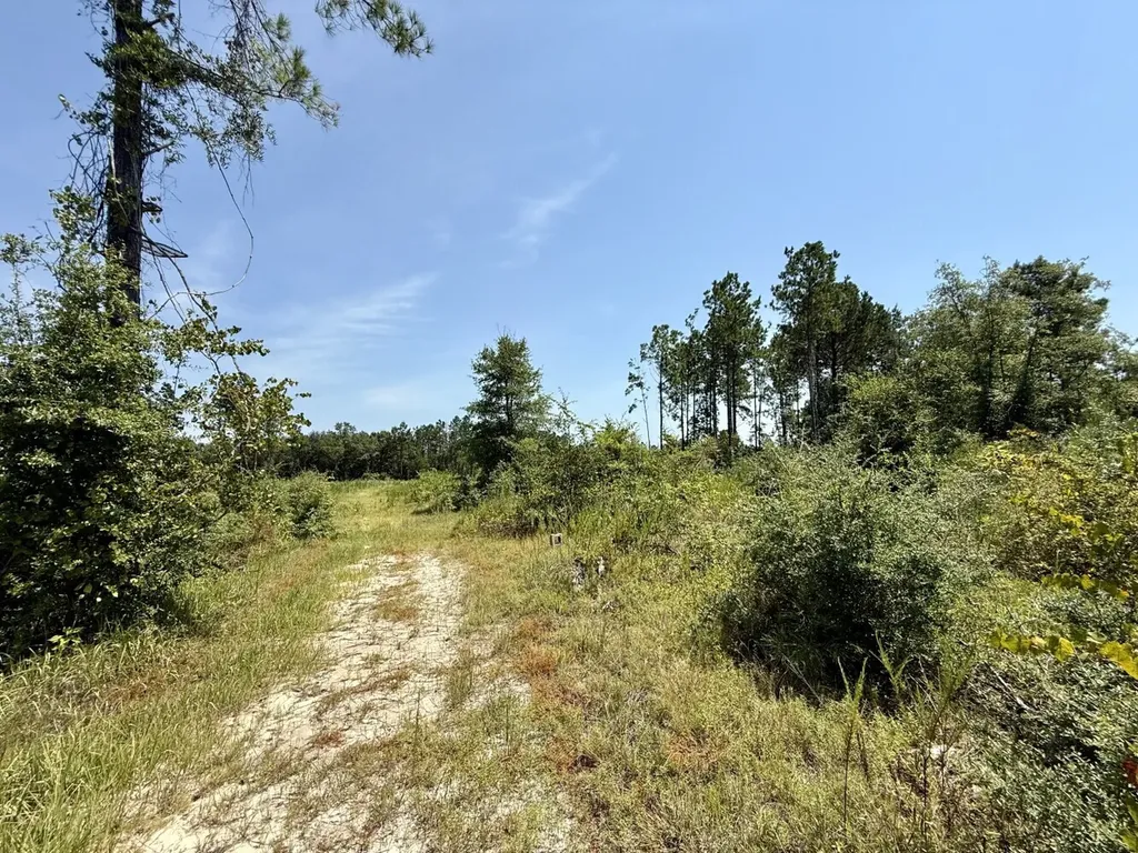 0 Louella Road Tract Mcintosh AL 36553