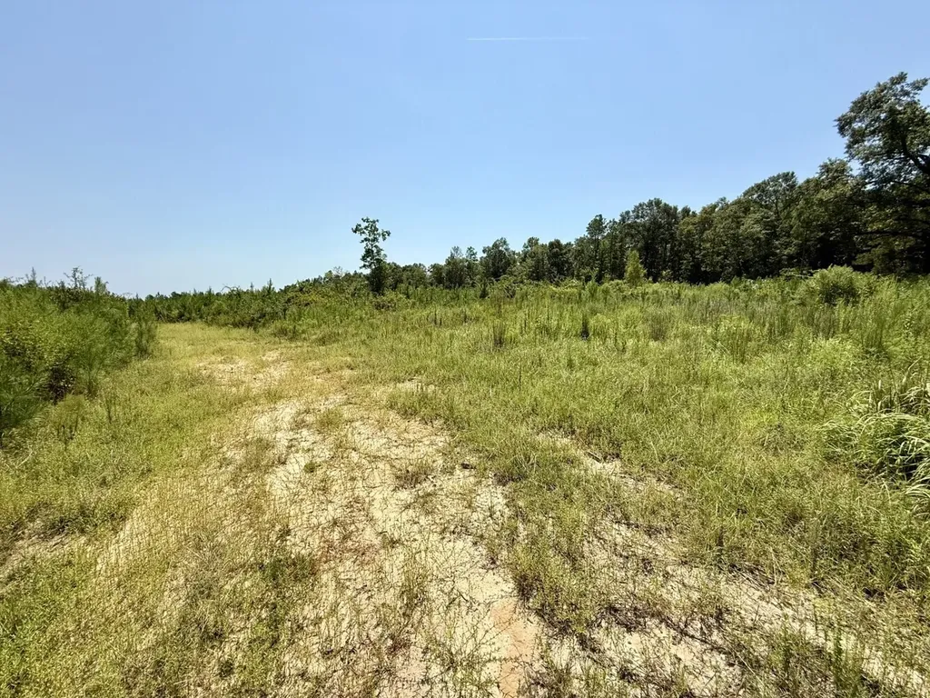 0 Louella Road Tract Mcintosh AL 36553